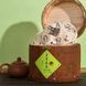Чай зеленый, травяной с жасмином 250 г, подарочная упаковка 0231 фото 2
