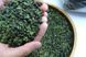 Справжній китайський улун "Anxi Tieguanyin" &ndash; Весняний альпійський чай, 250 г 0564 фото 3